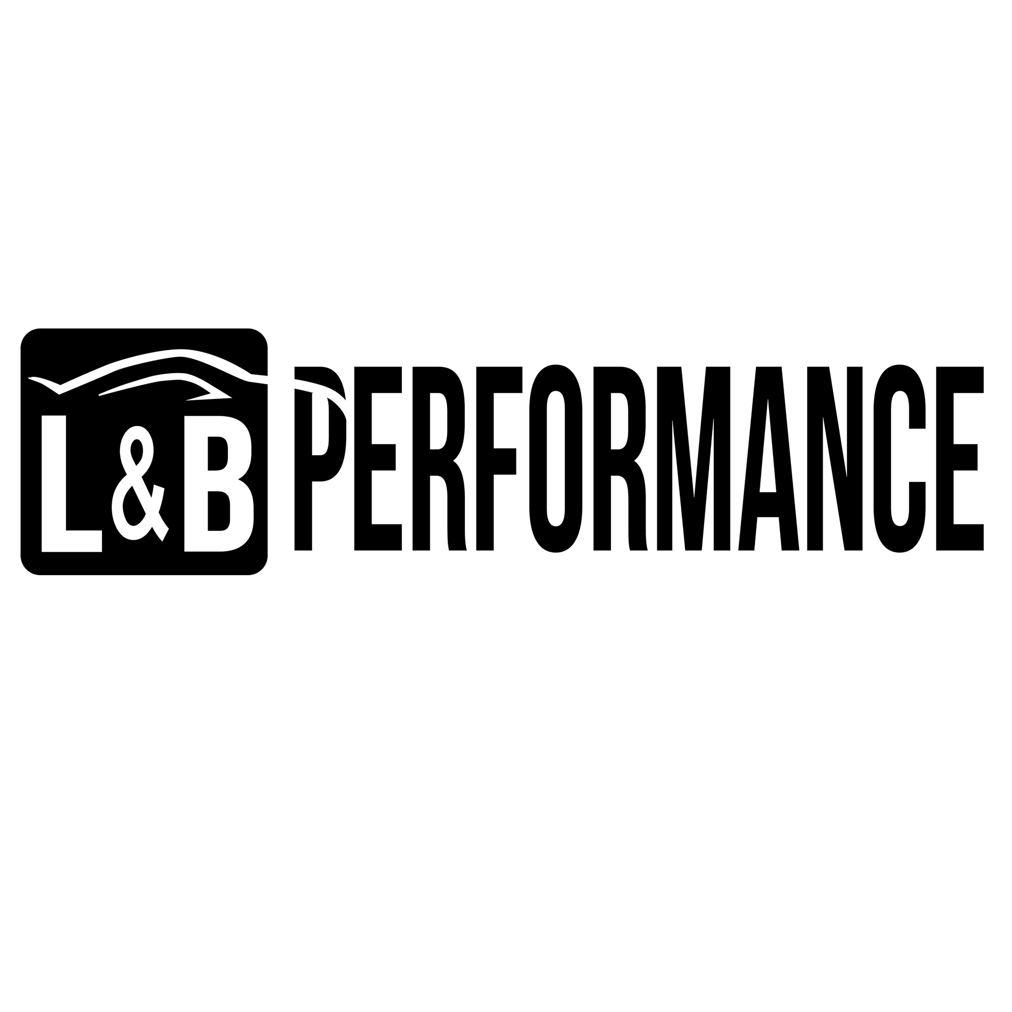 L & B Performance